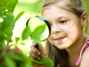 leaf-identification