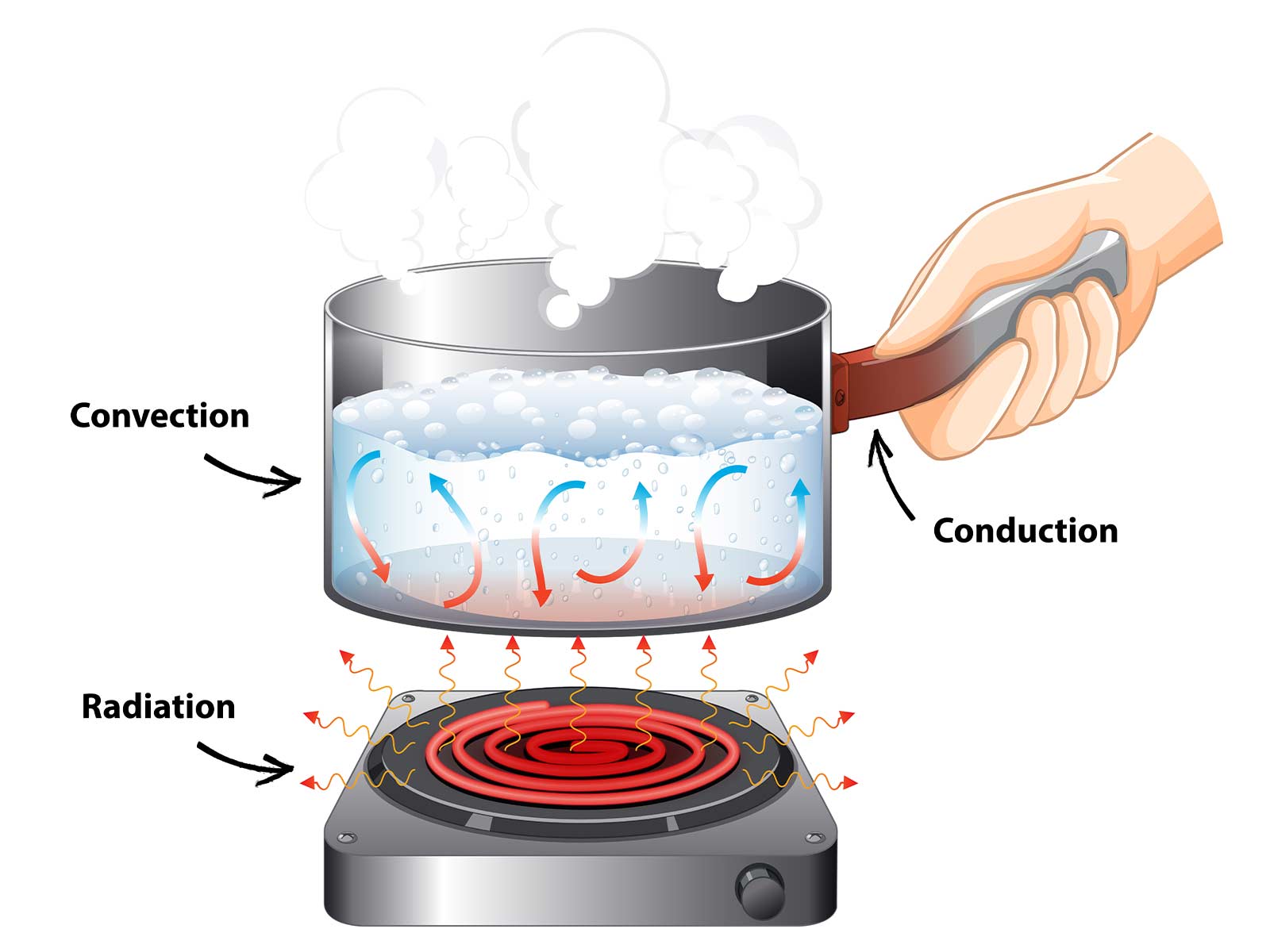 Heat Transfer Convection: Kinds of Convection Heat, Examples