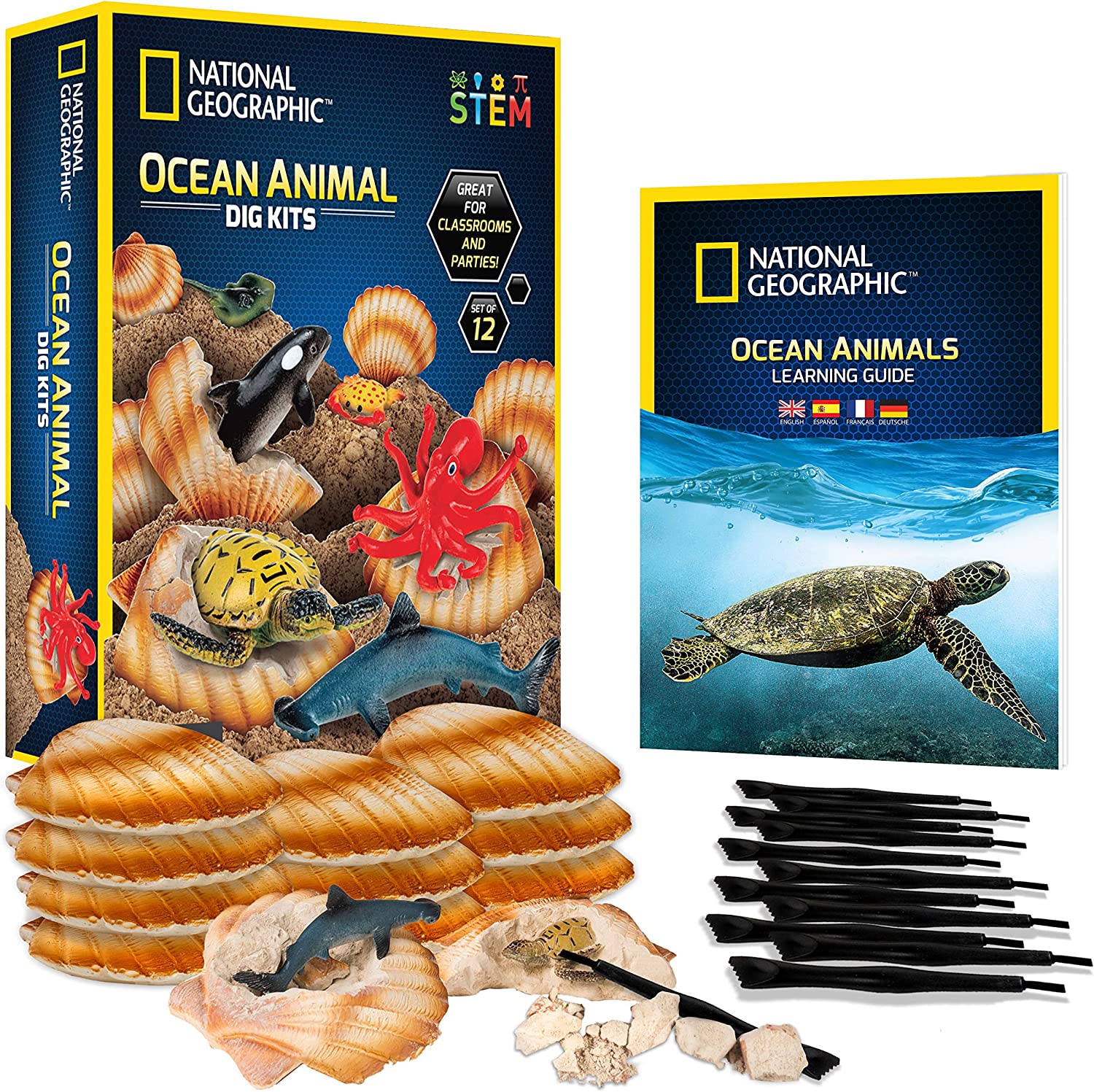 National Geographic Fool's Gold Dig Kits by National Geographic