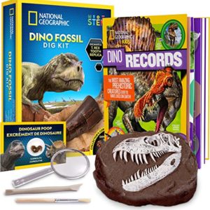 Fool's Gold Dig Kits – National Geographic