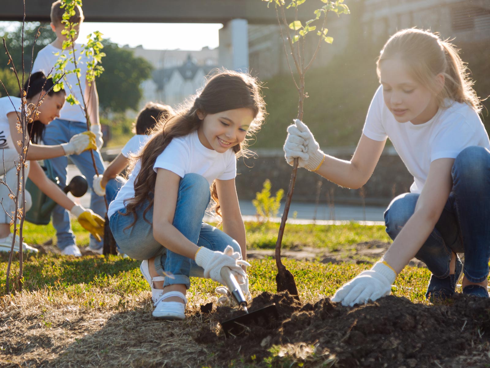 Child helping others plant trees