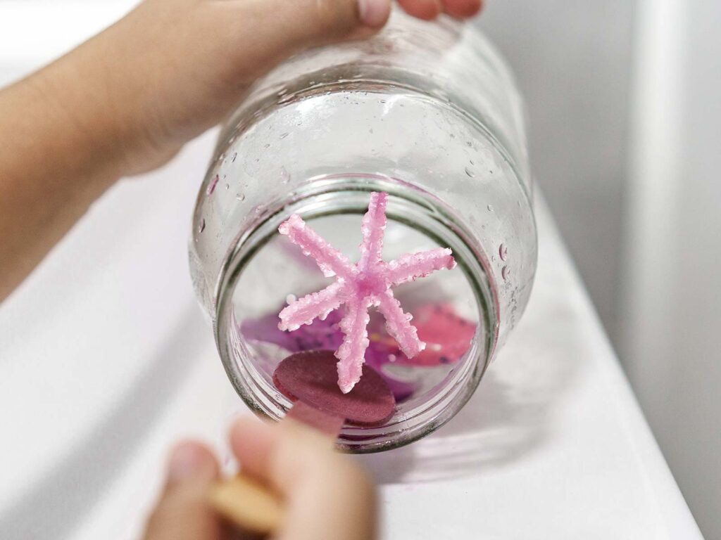 Make Borax Crystal Snowflakes Think Blue Marble
