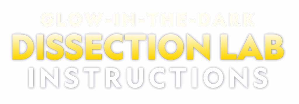 Glow in the Dark Dissection Lab Instructions